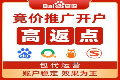 SEM运营公司成功案例解析